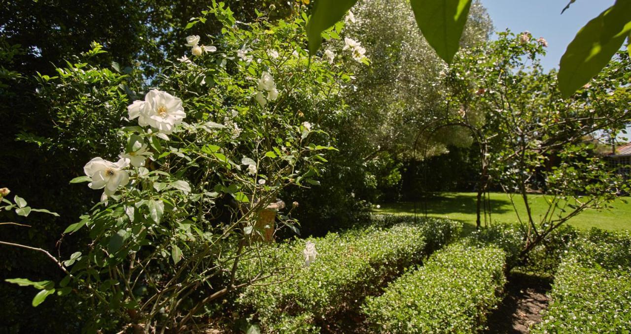 كيب تاون Villa Puccini المظهر الخارجي الصورة