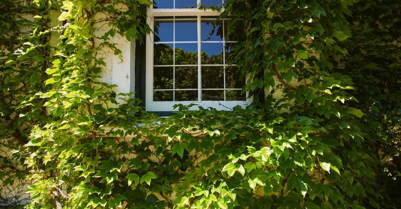 كيب تاون Villa Puccini المظهر الخارجي الصورة