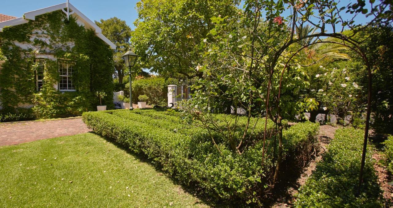 كيب تاون Villa Puccini المظهر الخارجي الصورة